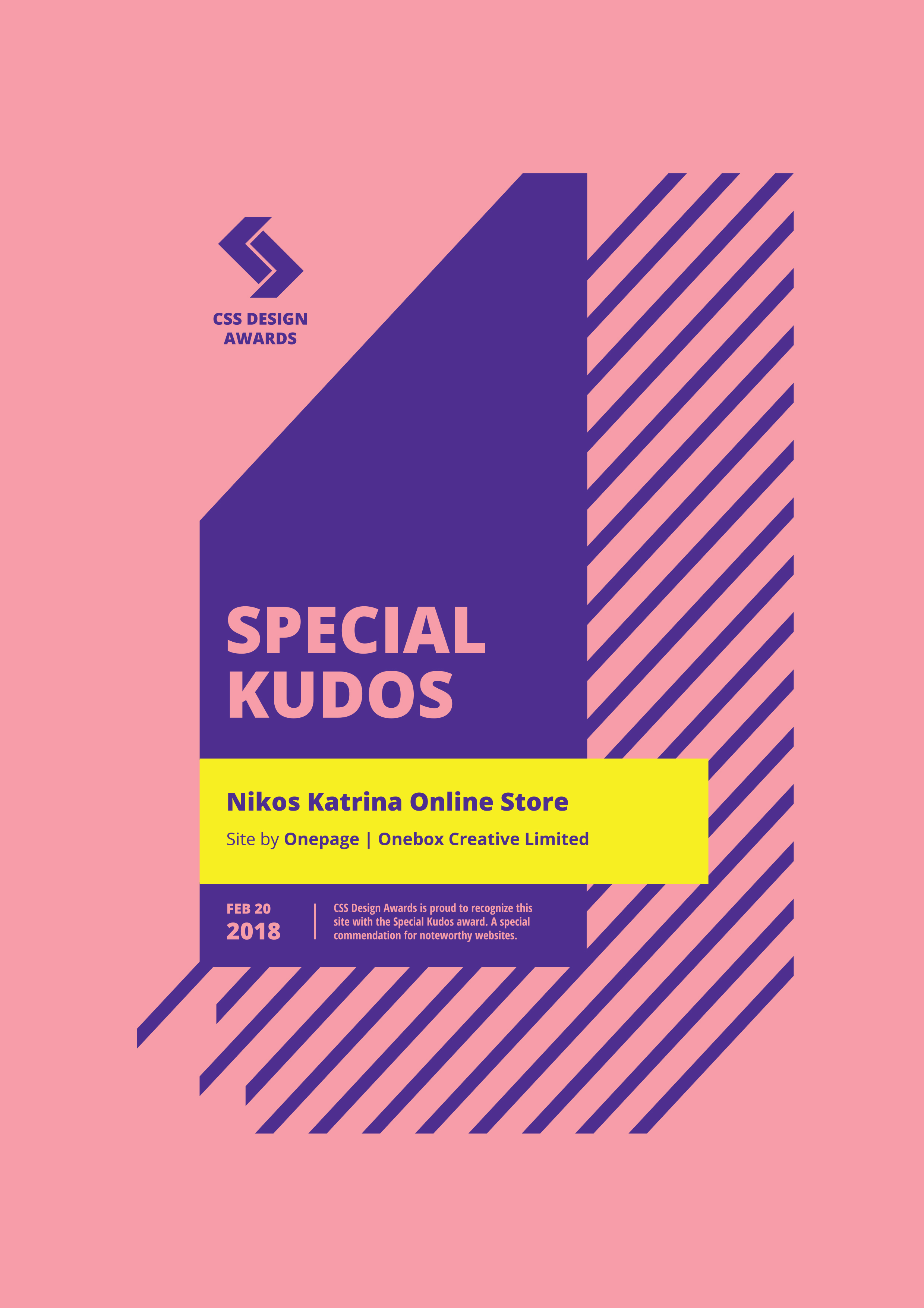 CSSD Award SPECIAL KUDOS
